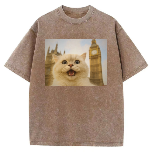 London Big Ben Cat Washed T-shirt - Image 4