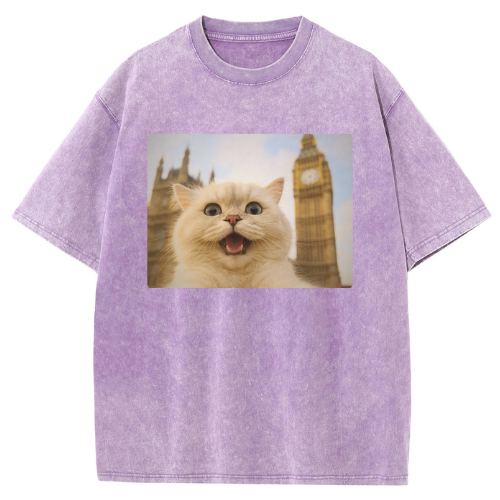 London Big Ben Cat Washed T-shirt - Image 5